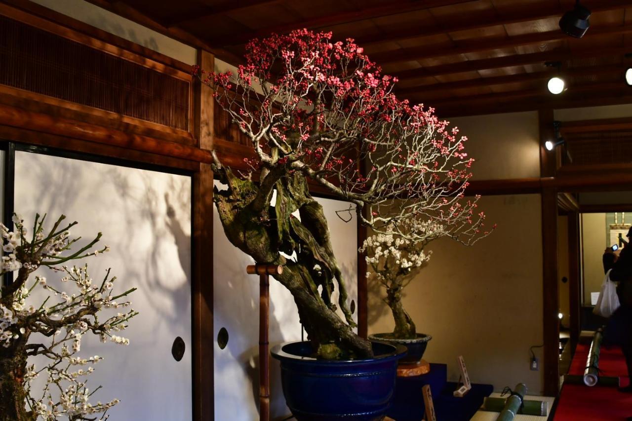 Cozy House K46, Free Wifi A Rented Electric Bicycle Appartement Kyoto Buitenkant foto